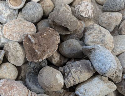 Bullet or  Musket Ball from Civil War Fired