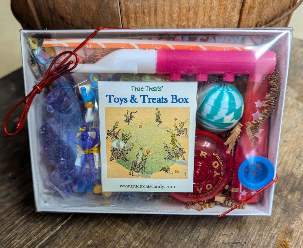 Toys and Treats Box