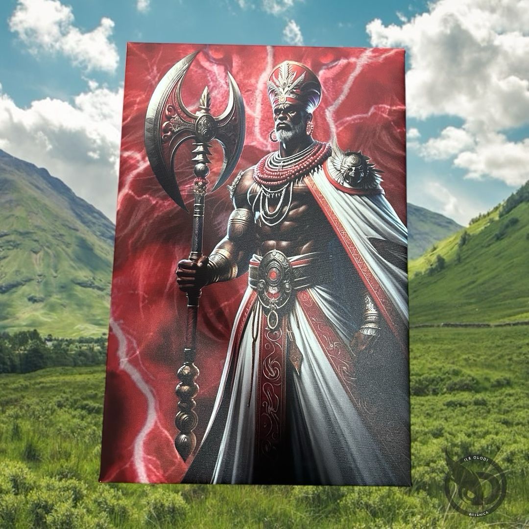 Lienzo Shango Personalizado