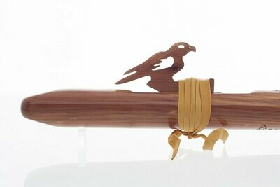 Sparrow Hawk - A - Aromatic Cedar