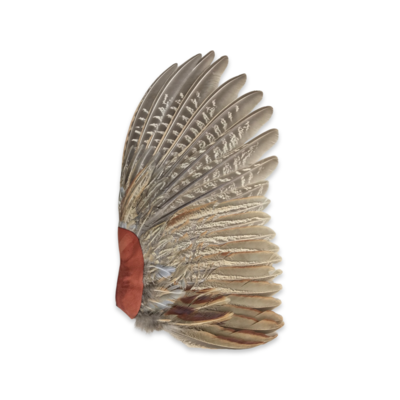 Smudgefan - fazant - 33cm