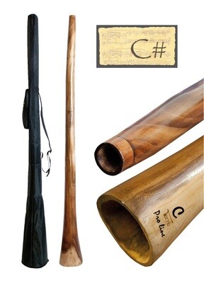 Didgeridoo Proline XL - Eucalyptus - C#