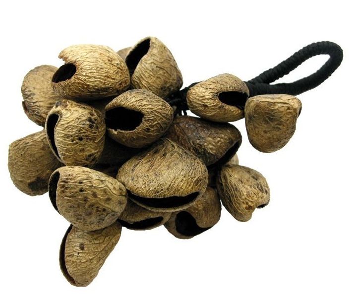Seedpod rattle with handle - Pangi seeds
