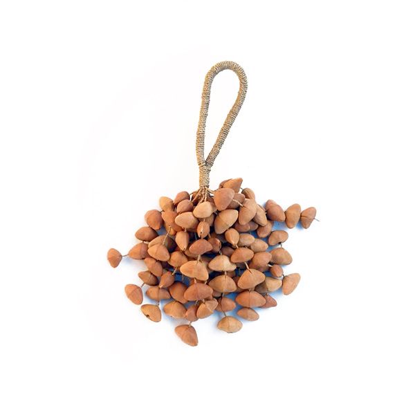 Seedpod rattle with handle - Kenari seeds