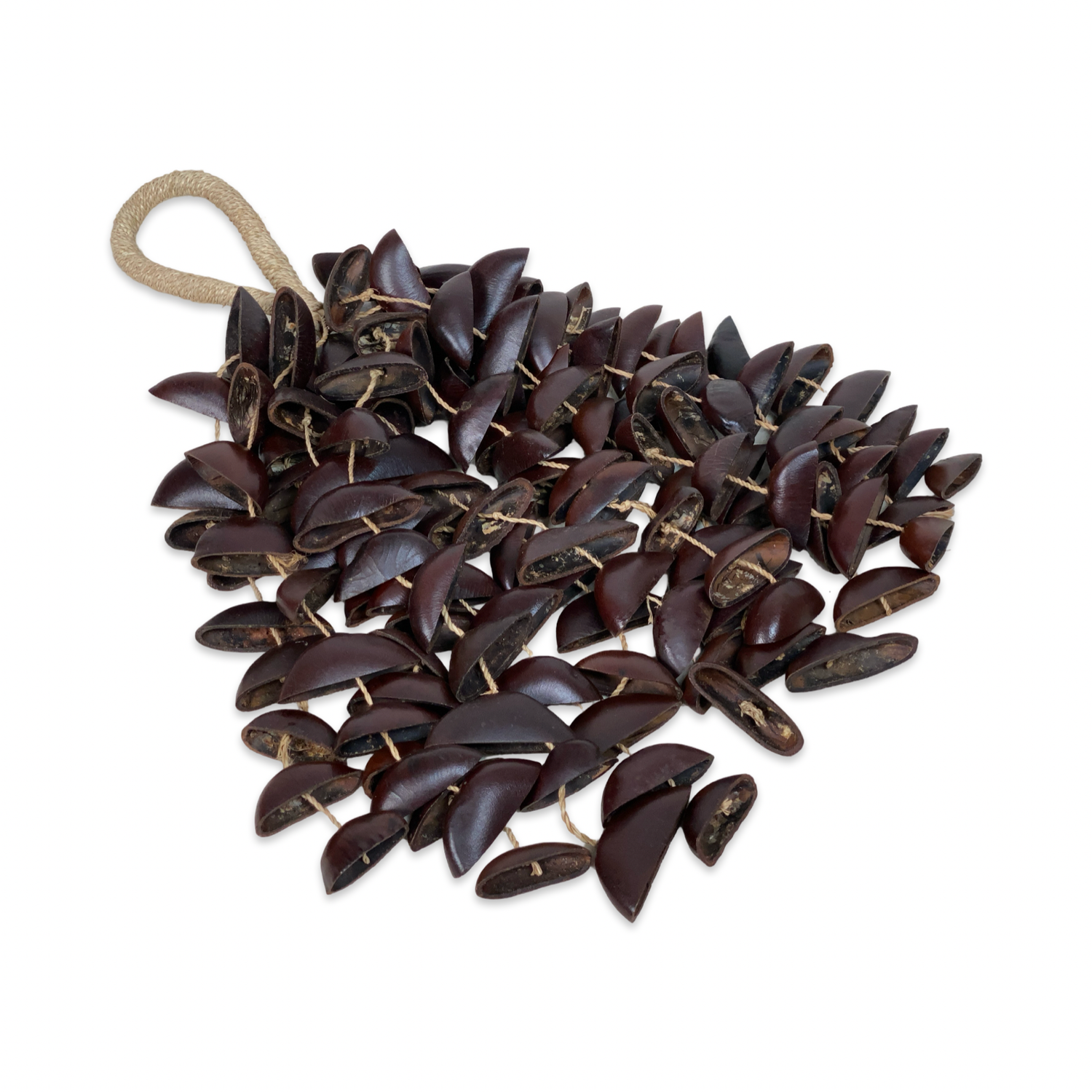 Seedpod rattle with handle - Entada seeds - 38cm