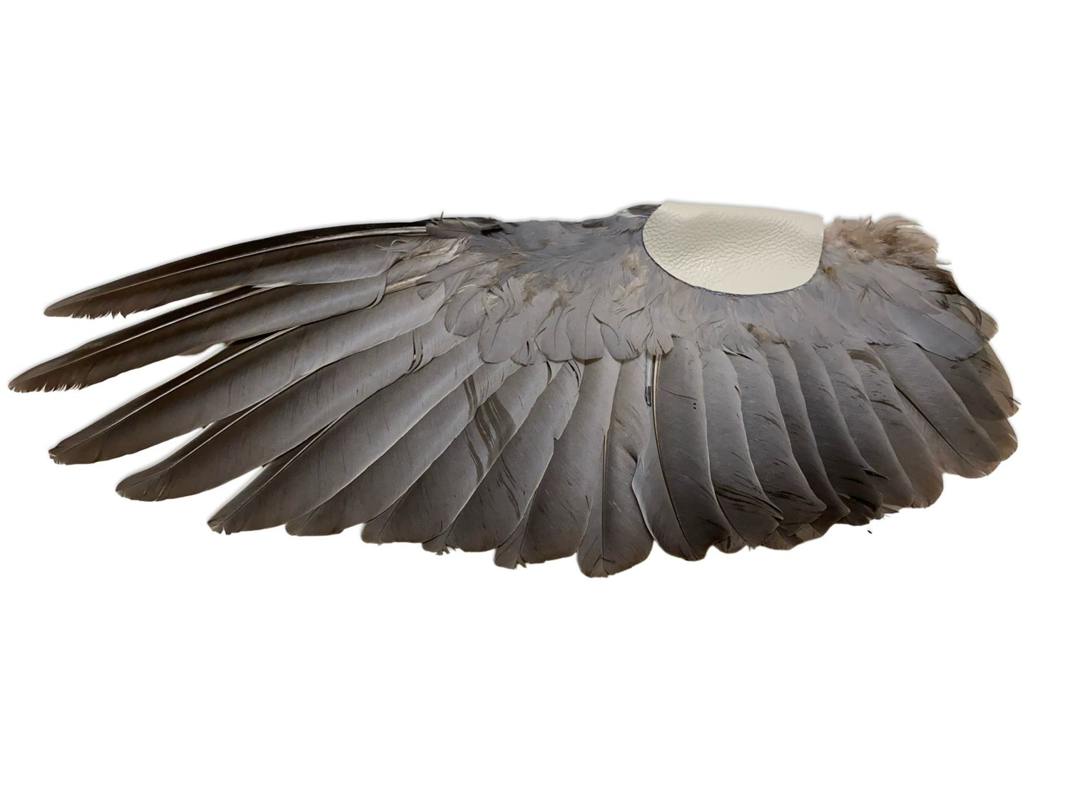 Smudgefan - Paduan hen - white