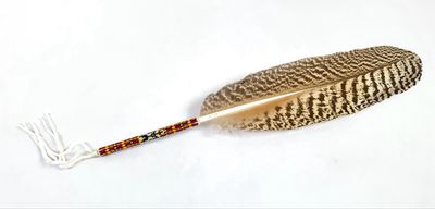 Smudge feather - Peacock