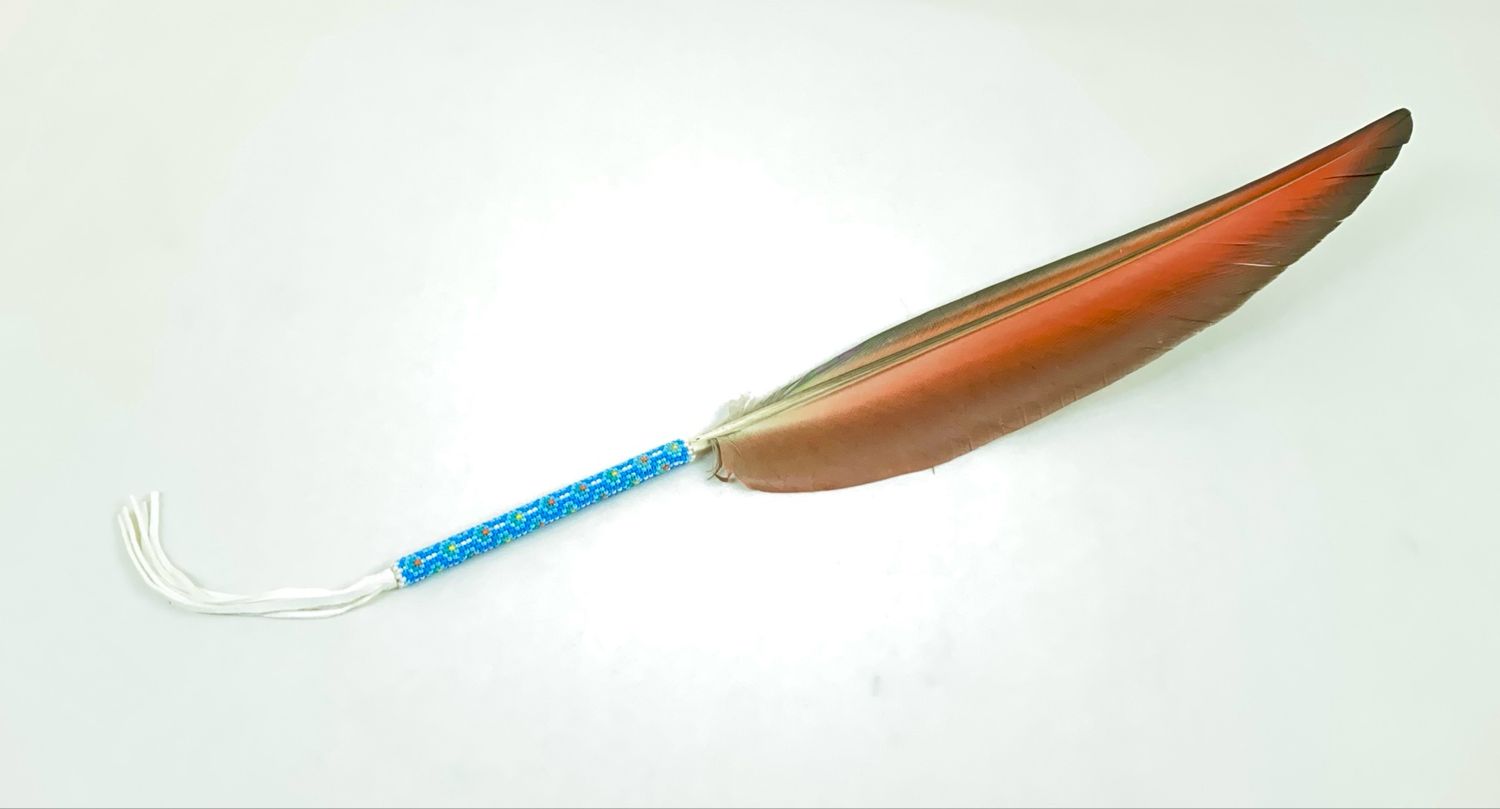 Smudge feather - Ara