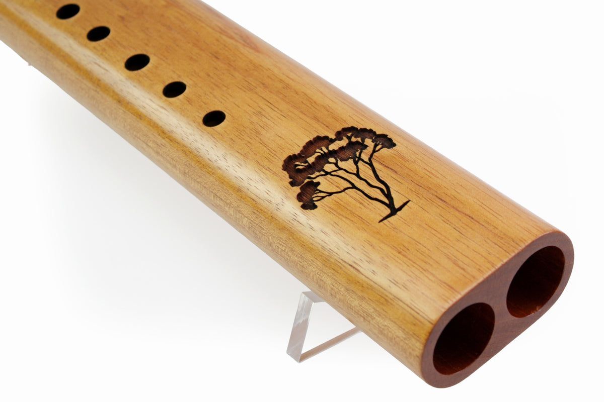 Nova dubbele fluit - Bass E - Spanish Cedar - Tree Design