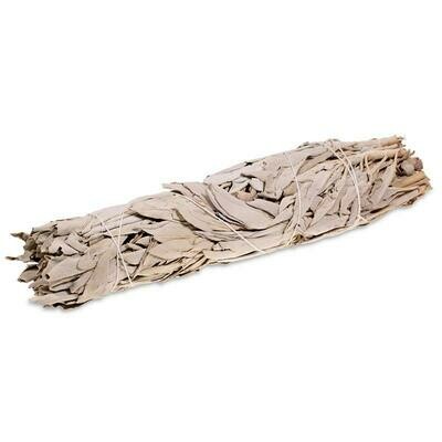 White Sage Smudge stick - 23cm