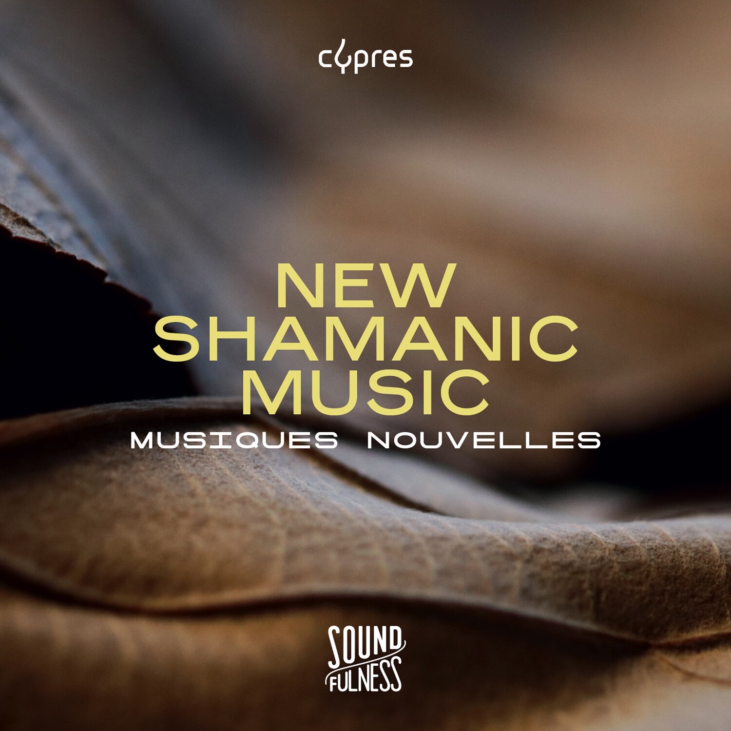 CD CD "New Shamanic Music" - Musiques Nouvelles