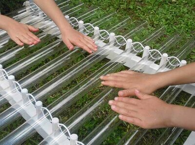 Cristallophone / Harpe de Cristal