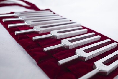 Solar Harmonic Spectrum - set 8 tuning forks - Biosonics