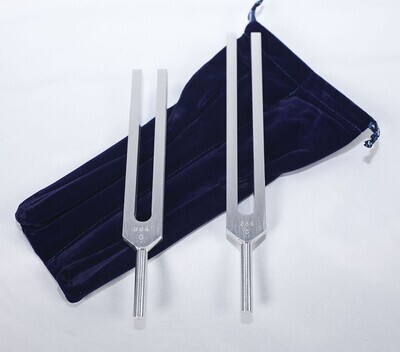 Body Tuners - set 2 tuning forks C & G - Biosonics