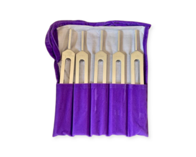 Brain tuners - set 5 tuning forks - Biosonics