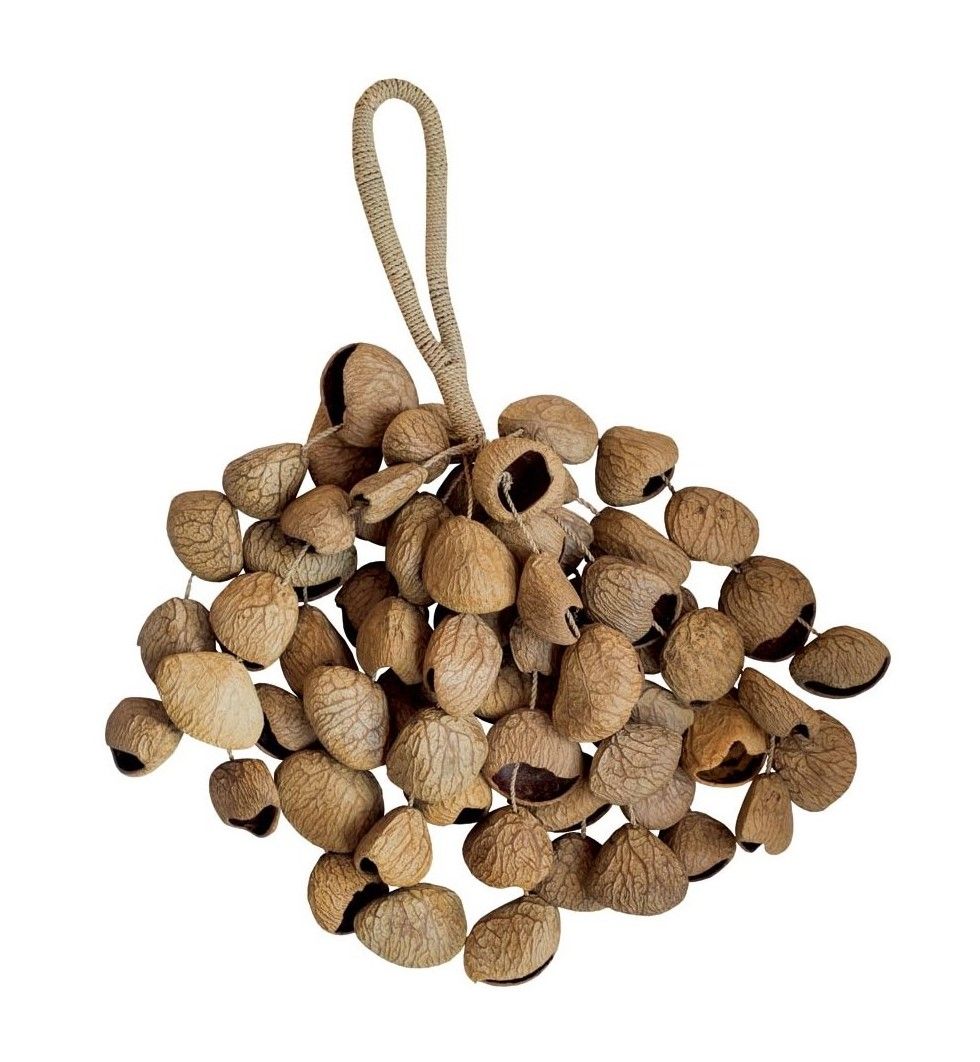 Seedpod rattle XXL with handle - Pangi seeds