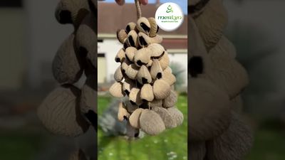 Seedpod rattle XXL with handle - Pangi seeds