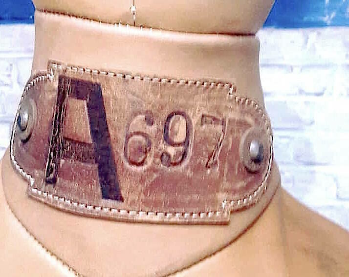 HRASKO Wrestling-dummy-mannequin.