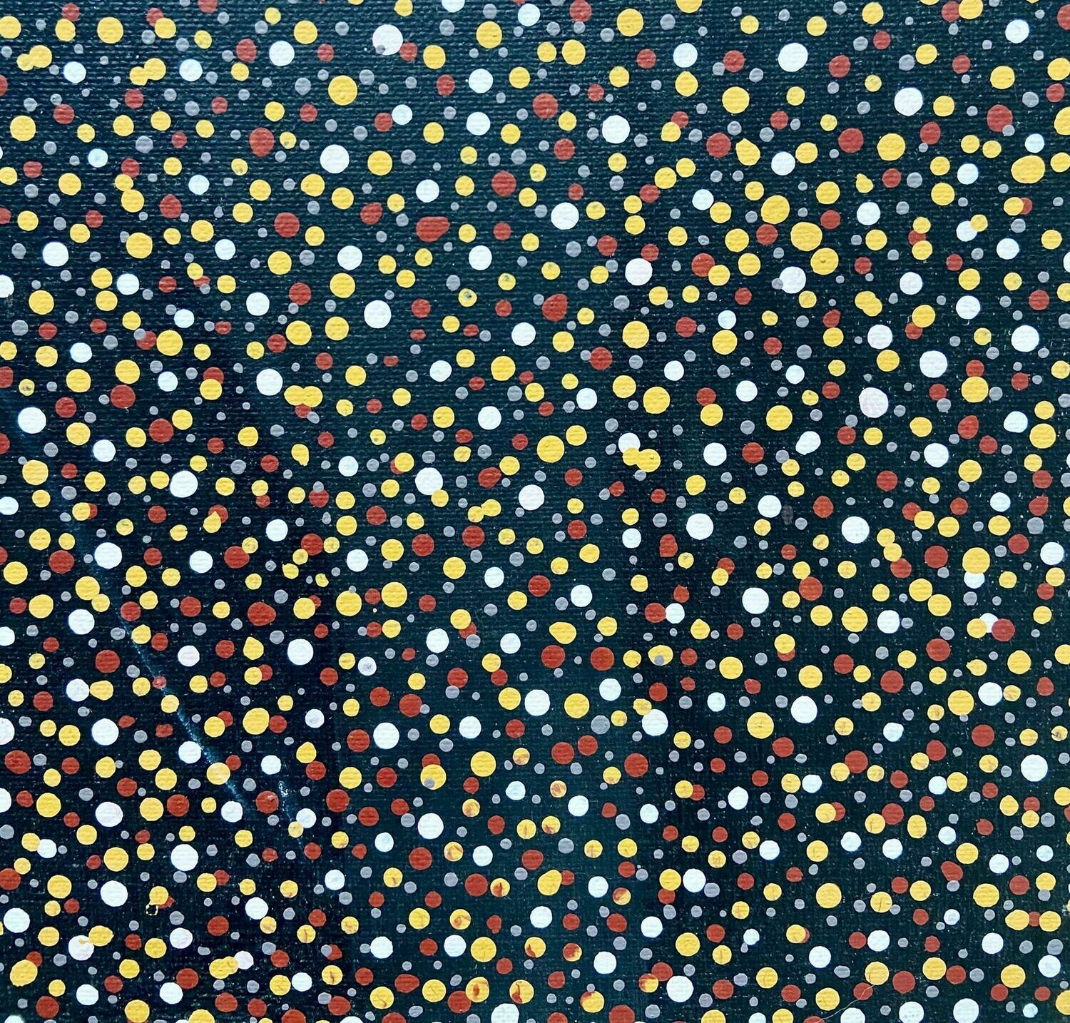 Nancy Petyarre 'Yam Seed Dreaming'