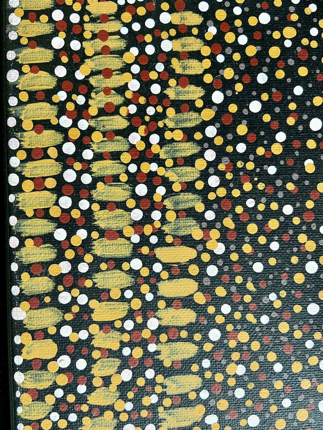 Nancy Petyarre 'Yam Seed Dreaming'