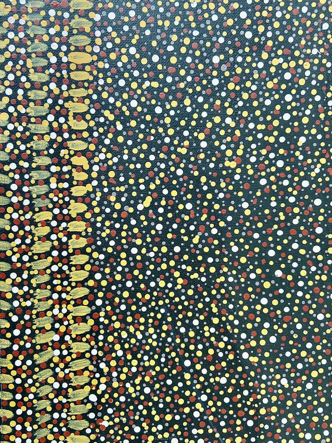 Nancy Petyarre 'Yam Seed Dreaming'