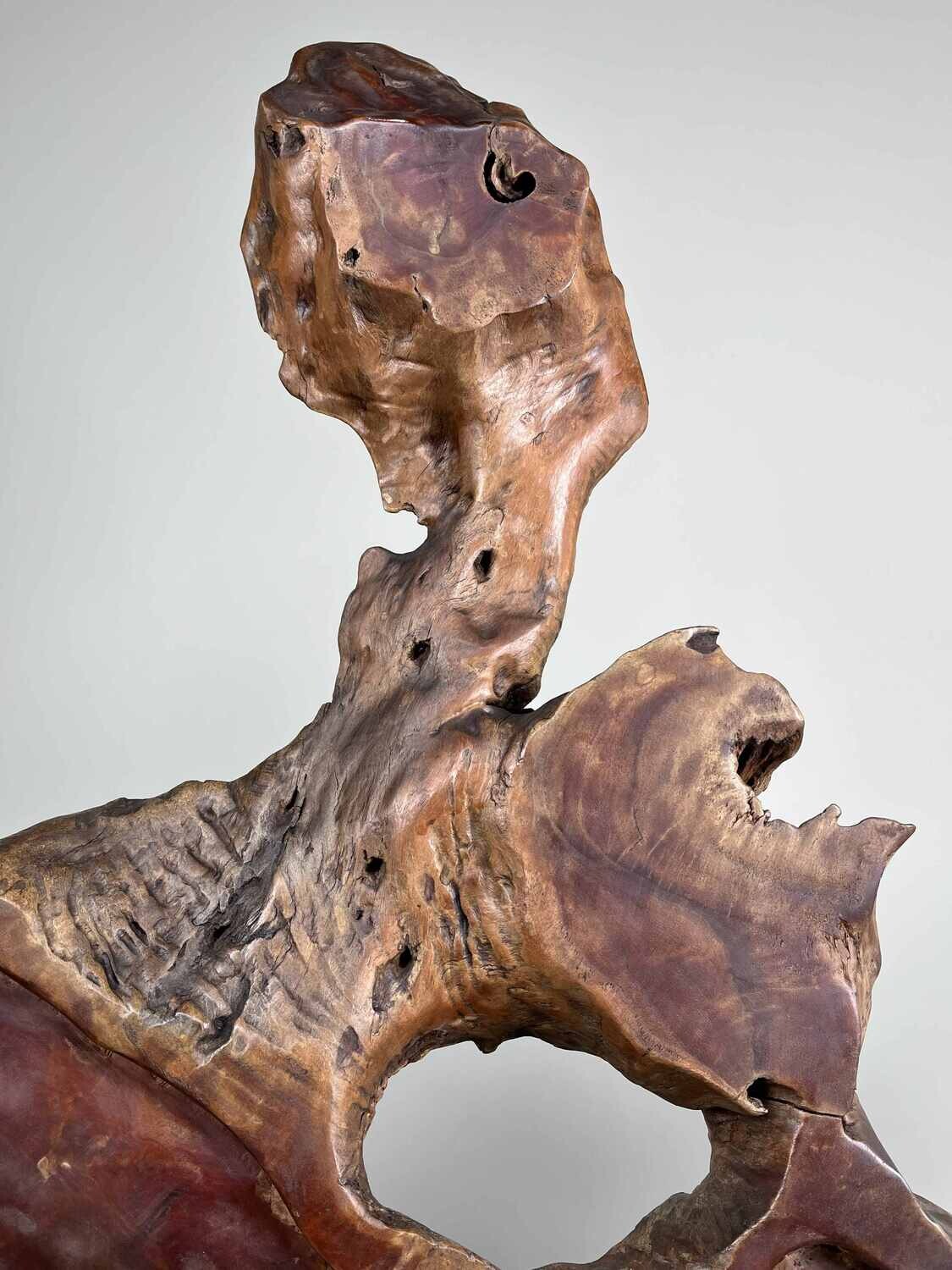 Tsuitate - Houtsnijwerk - Wortelhout - Adelaar in boom - Japan - Meiji periode