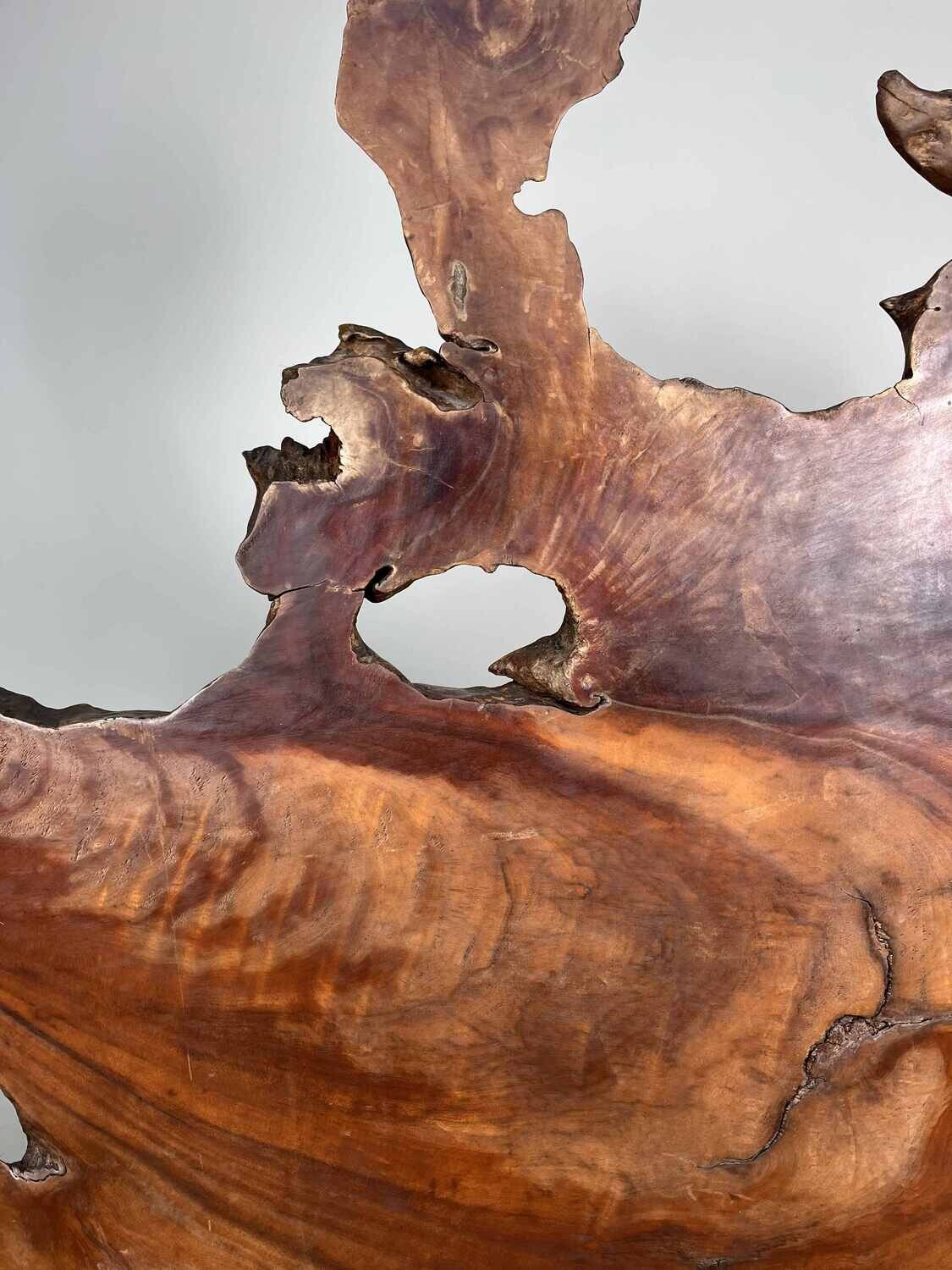 Tsuitate - Houtsnijwerk - Wortelhout - Adelaar in boom - Japan - Meiji periode