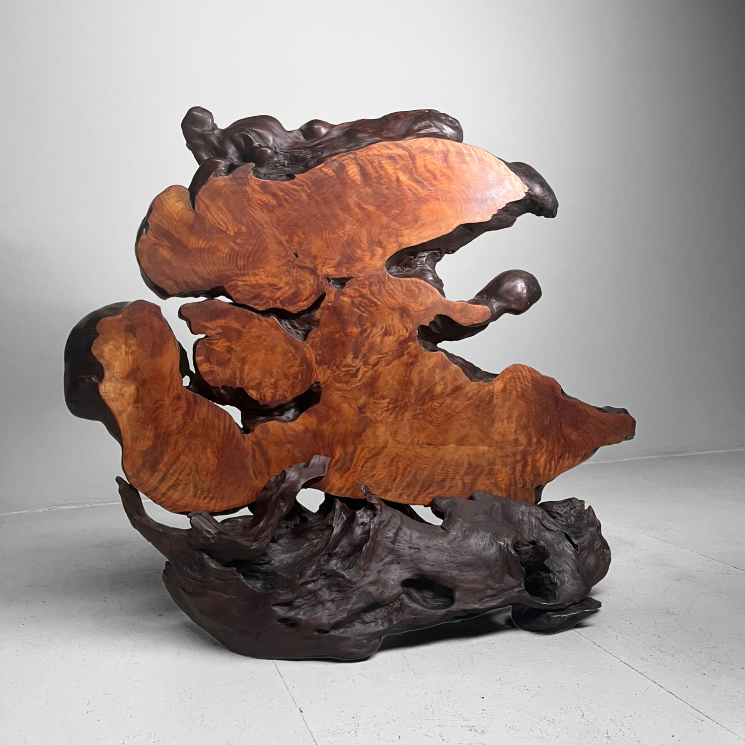 Tiger Moku Burl Wood Yakusugi Decoration Japan, 大正天皇, Taishō (1879 – 1926)