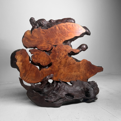 Tiger Moku Burl Wood Yakusugi Decoratie, Japan, 大正天皇, Taishō (1879 – 1926).