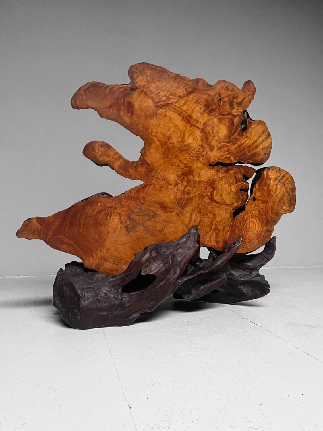 Tiger Moku Burl Wood Yakusugi Decoratie, Japan, 大正天皇, Taishō (1879 – 1926). Tiger Moku Burl Wood Yakusugi Decoratie, Japan, 大正天皇, Taishō (1879 – 1926).