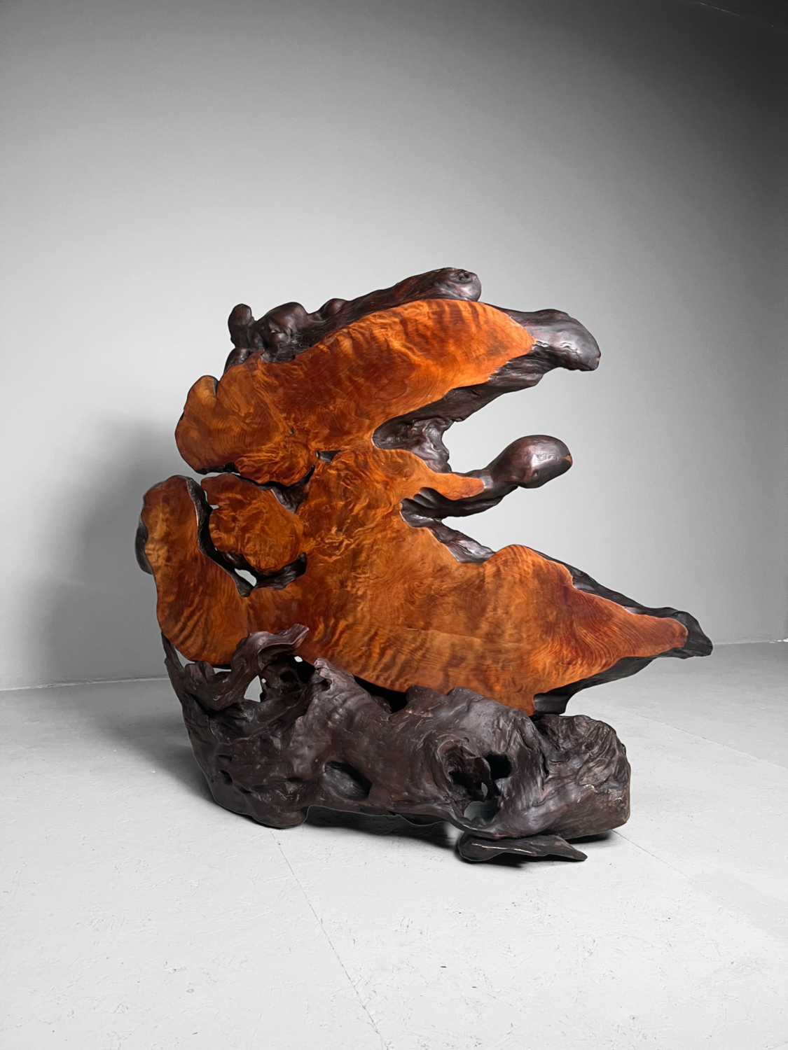 Tiger Moku Burl Wood Yakusugi Decoratie, Japan, 大正天皇, Taishō (1879 – 1926). Tiger Moku Burl Wood Yakusugi Decoratie, Japan, 大正天皇, Taishō (1879 – 1926).
