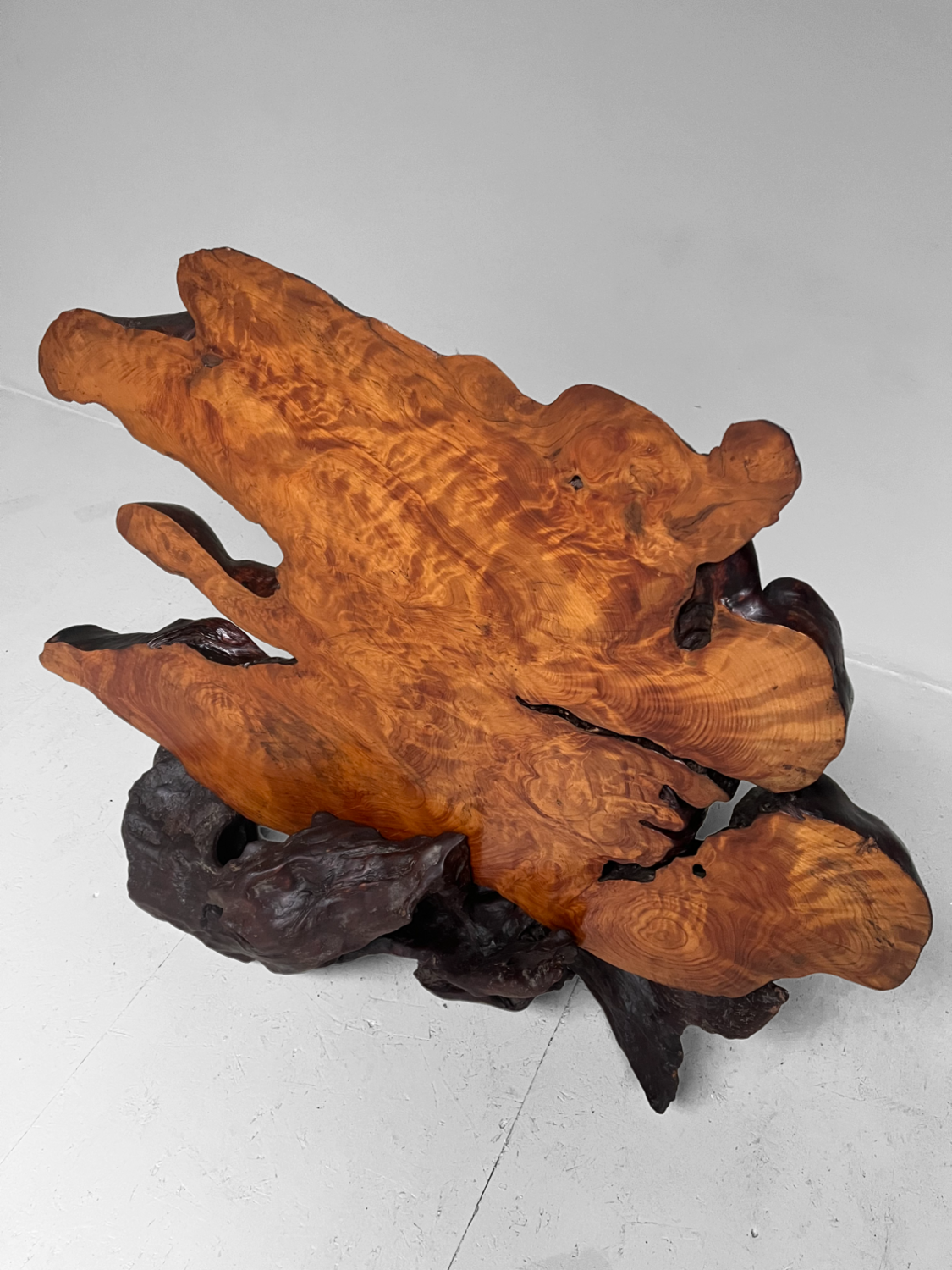 Tiger Moku Burl Wood Yakusugi Decoratie, Japan, 大正天皇, Taishō (1879 – 1926). Tiger Moku Burl Wood Yakusugi Decoratie, Japan, 大正天皇, Taishō (1879 – 1926).