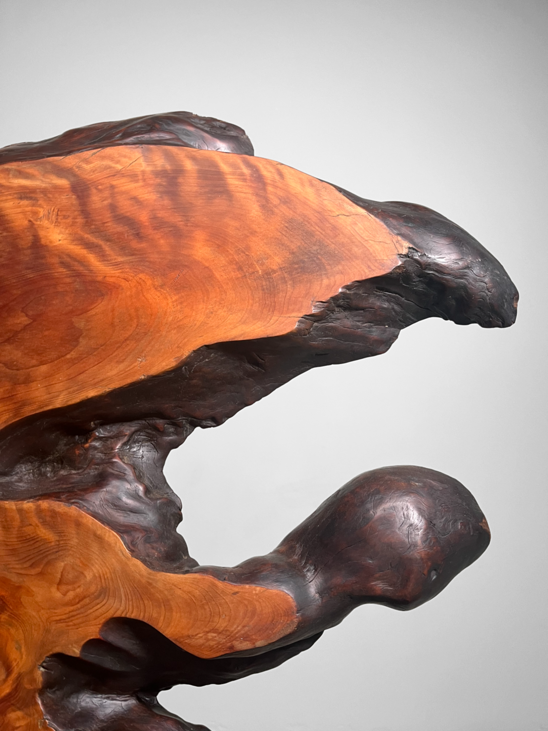 Tiger Moku Burl Wood Yakusugi Decoratie, Japan, 大正天皇, Taishō (1879 – 1926). Tiger Moku Burl Wood Yakusugi Decoratie, Japan, 大正天皇, Taishō (1879 – 1926).