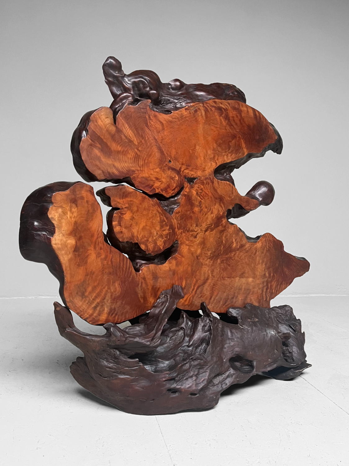 Tiger Moku Burl Wood Yakusugi Decoratie, Japan, 大正天皇, Taishō (1879 – 1926). Tiger Moku Burl Wood Yakusugi Decoratie, Japan, 大正天皇, Taishō (1879 – 1926).