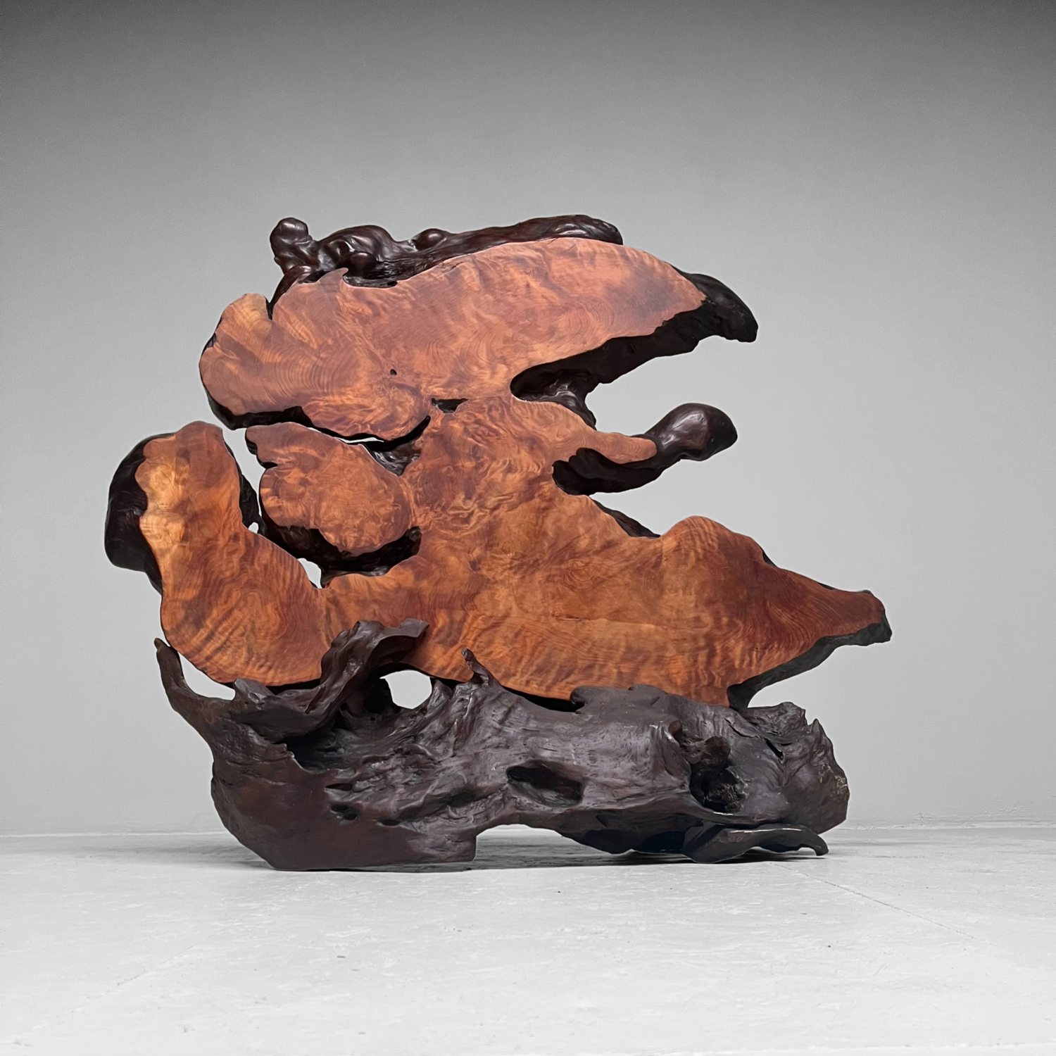 Tiger Moku Burl Wood Yakusugi Decoratie, Japan, 大正天皇, Taishō (1879 – 1926). Tiger Moku Burl Wood Yakusugi Decoratie, Japan, 大正天皇, Taishō (1879 – 1926).