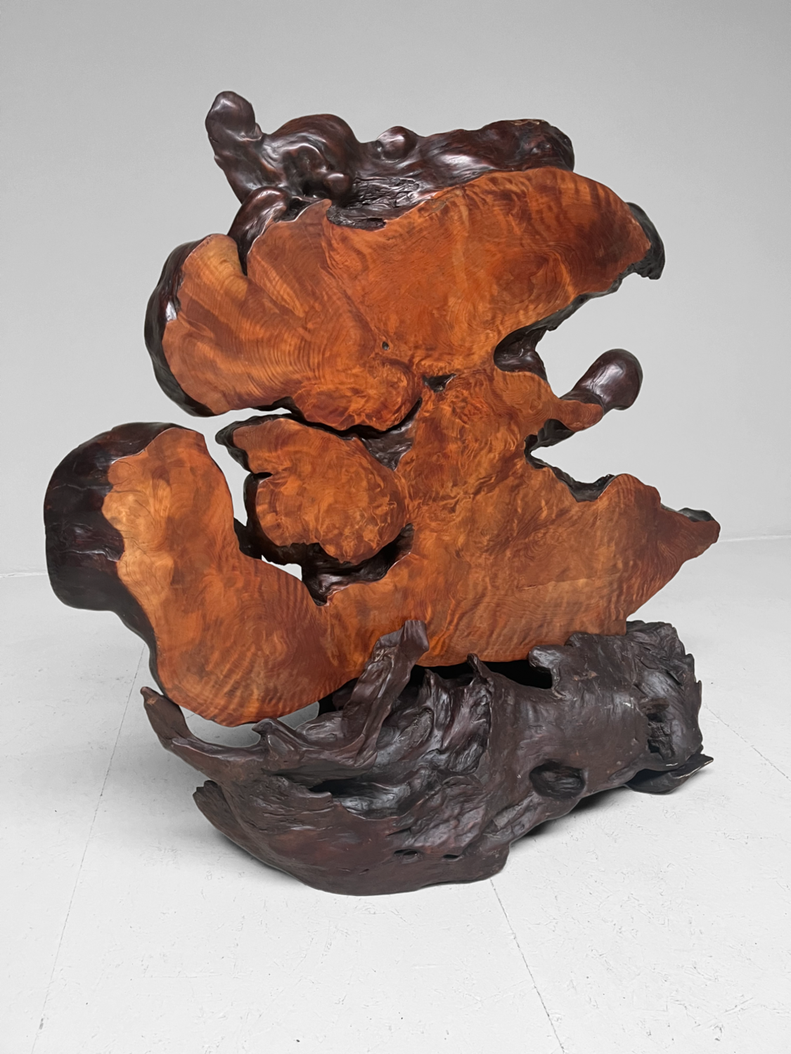 Tiger Moku Burl Wood Yakusugi Decoratie, Japan, 大正天皇, Taishō (1879 – 1926). Tiger Moku Burl Wood Yakusugi Decoratie, Japan, 大正天皇, Taishō (1879 – 1926).