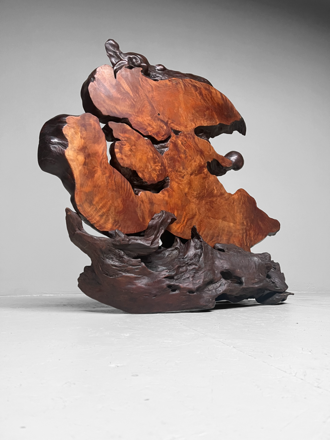 Tiger Moku Burl Wood Yakusugi Decoratie, Japan, 大正天皇, Taishō (1879 – 1926). Tiger Moku Burl Wood Yakusugi Decoratie, Japan, 大正天皇, Taishō (1879 – 1926).