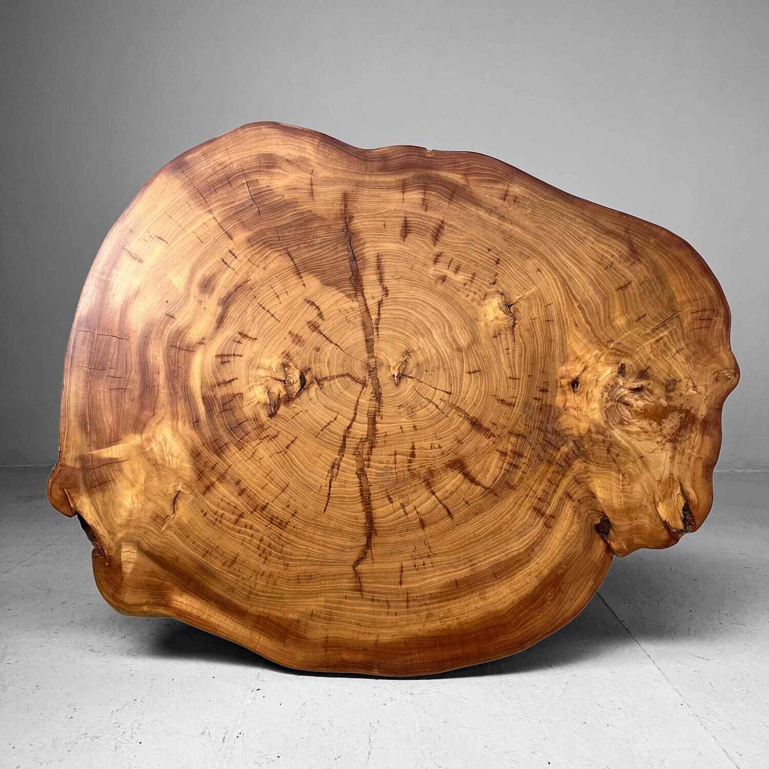 Wabi Sabi Burl Wood Tree Table
