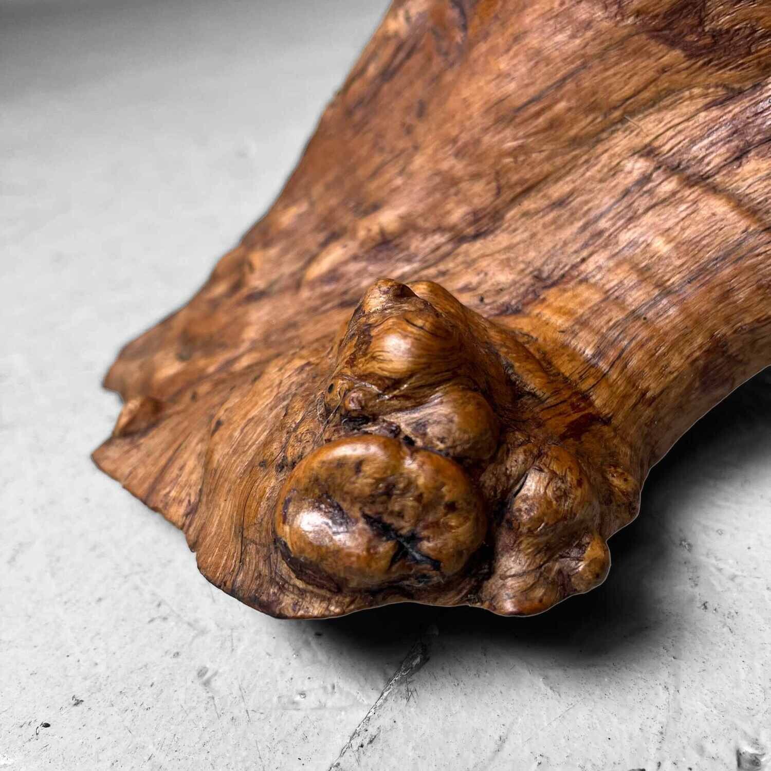 Decorative wood 'Burl Wood' Japan