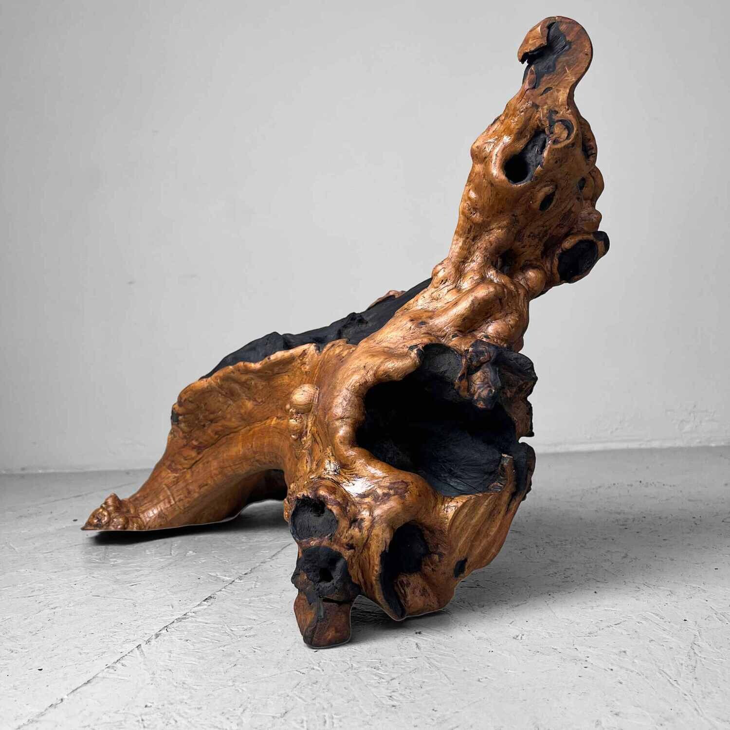 Decorative wood 'Burl Wood' Japan