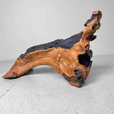 Decorative wood 'Burl Wood' Japan