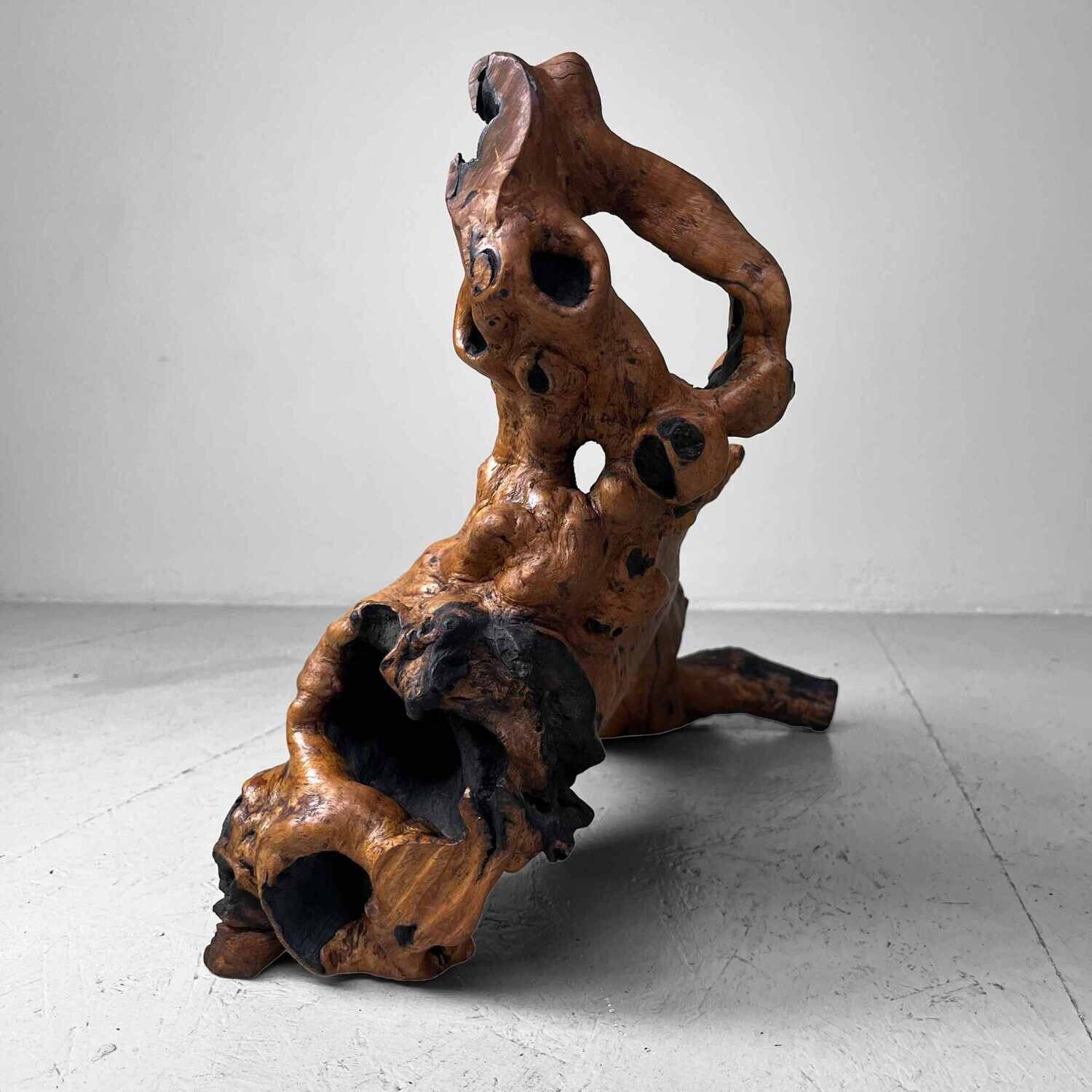 Decorative wood 'Burl Wood' Japan