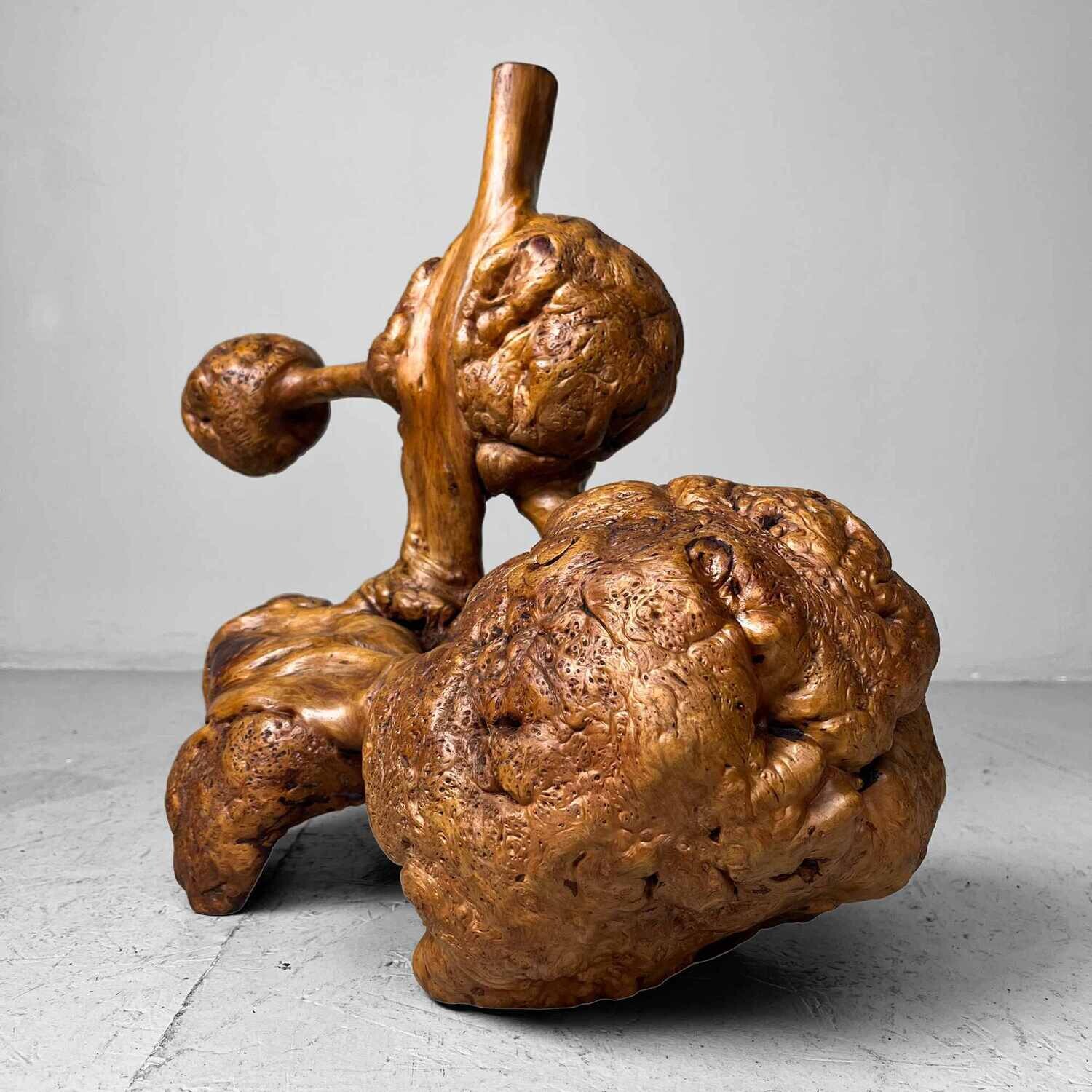 Decorative Wabi Sabi Burl Wood Japan Meiji Era