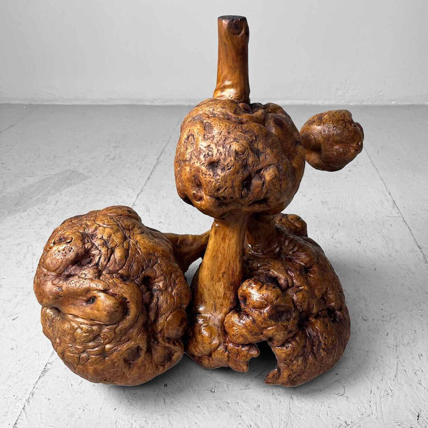 Decorative Wabi Sabi Burl Wood Japan Meiji Era