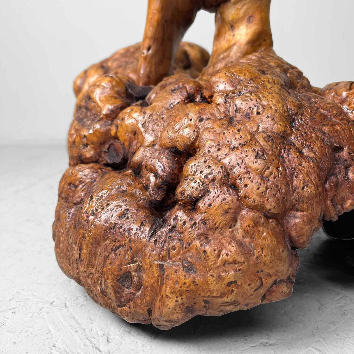 Decorative Wabi Sabi Burl Wood Japan Meiji Era