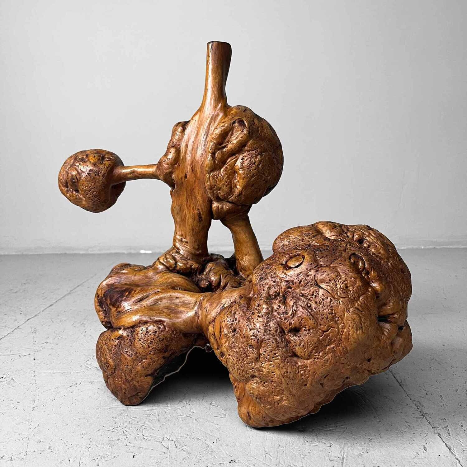 Decorative Wabi Sabi Burl Wood Japan Meiji Era