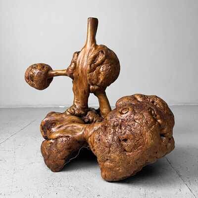 Decorative Wabi Sabi Burl Wood Japan Meiji Era