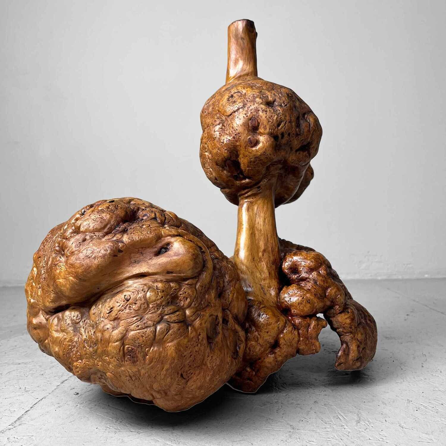 Decorative Wabi Sabi Burl Wood Japan Meiji Era