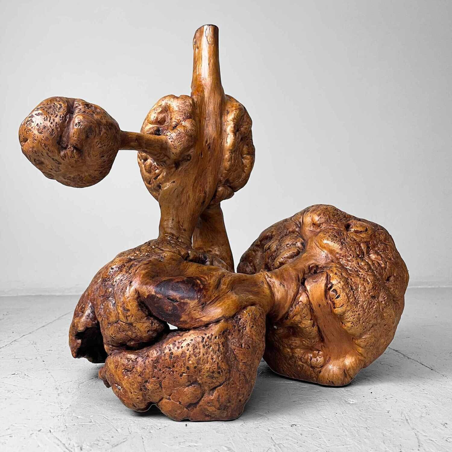 Decorative Wabi Sabi Burl Wood Japan Meiji Era