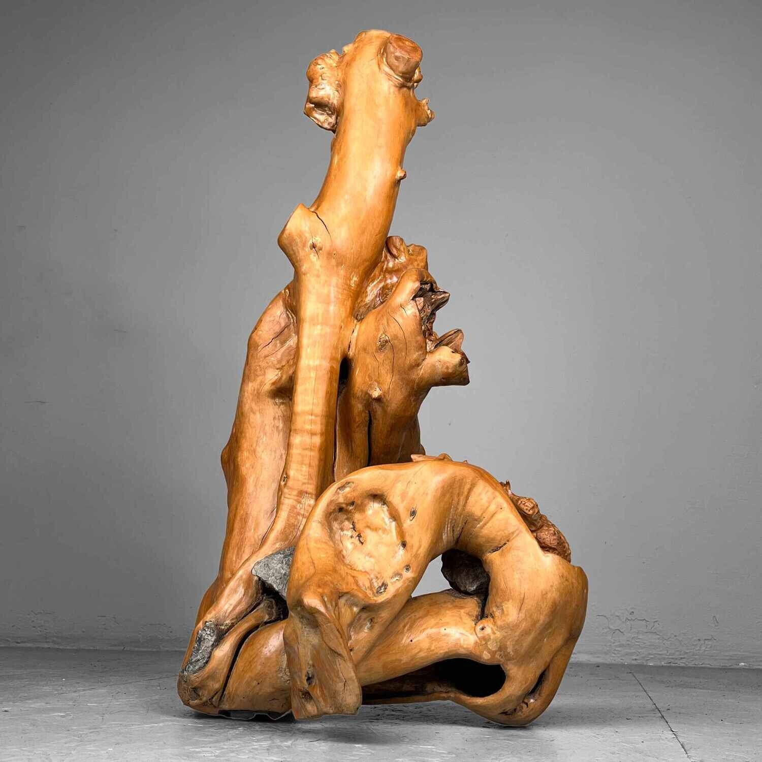 Japanese sculpted Burl Root Wood years Meiji Era